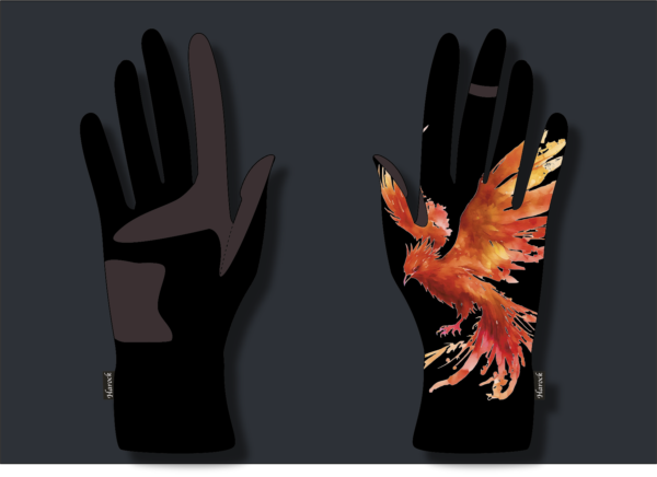 Fusion phœnix