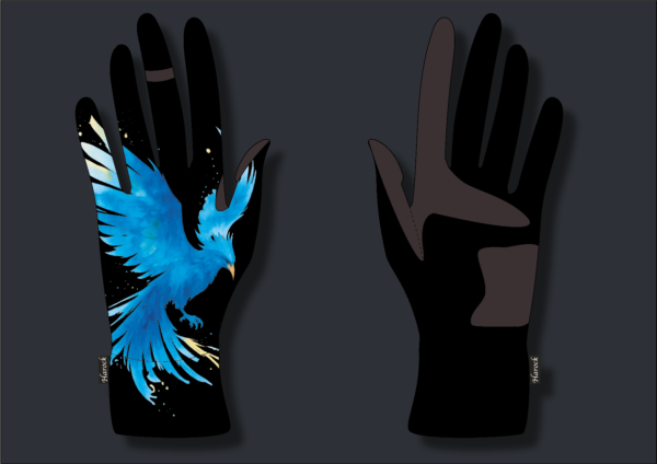 Fusion phœnix